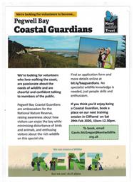 Pegwell Bay - coastal guardians